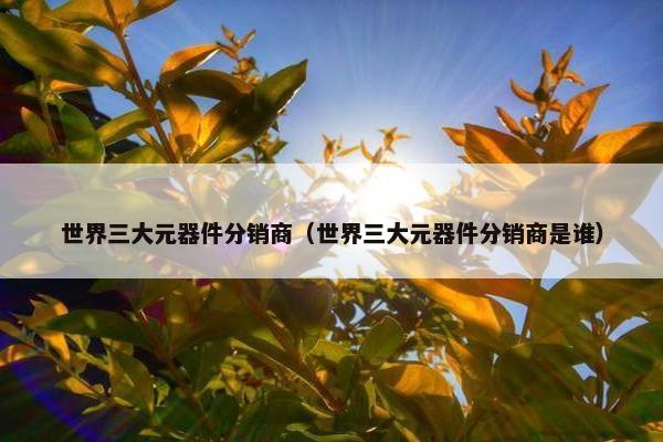 世界三大元器件分销商（世界三大元器件分销商是谁）