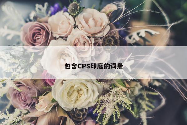 包含CPS印度的词条