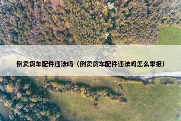 倒卖货车配件违法吗（倒卖货车配件违法吗怎么举报）