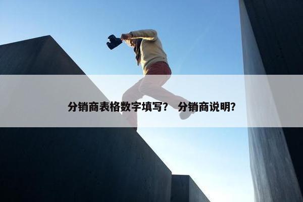 分销商表格数字填写？ 分销商说明？