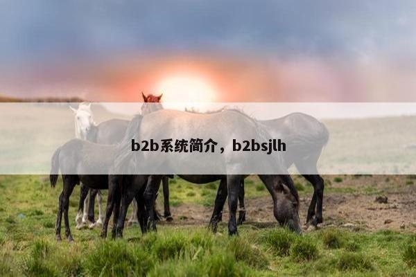 b2b系统简介，b2bsjlh