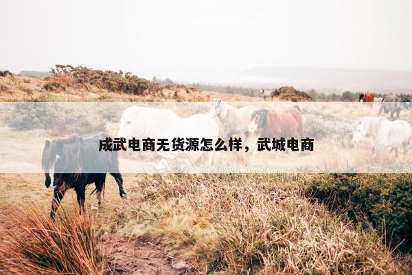 成武电商无货源怎么样，武城电商