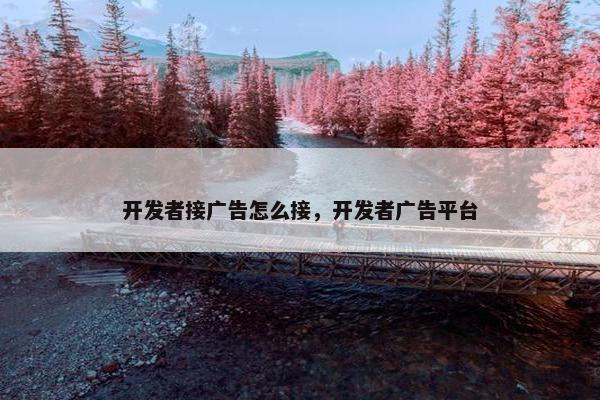 开发者接广告怎么接，开发者广告平台
