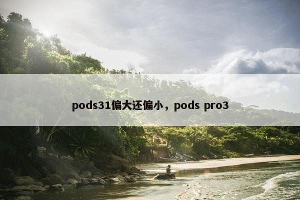 pods31偏大还偏小，pods pro3