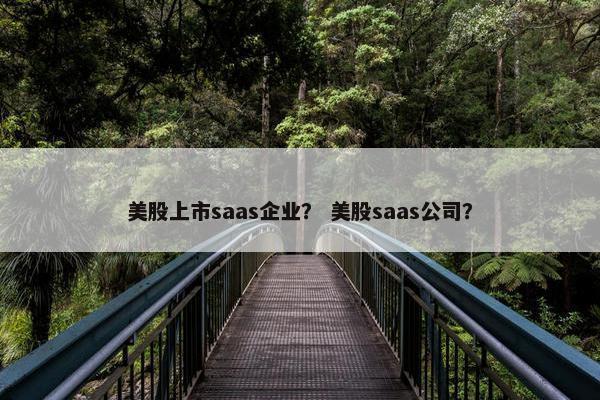 美股上市saas企业？ 美股saas公司？