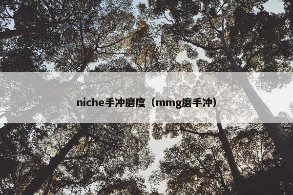 niche手冲磨度（mmg磨手冲）