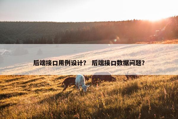 后端接口用例设计？ 后端接口数据问题？