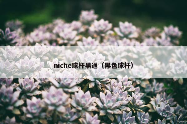 niche球杆黑通（黑色球杆）