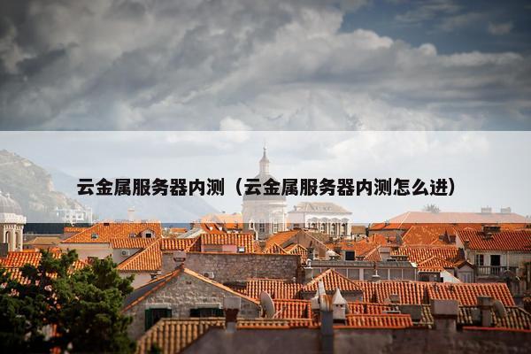 云金属服务器内测（云金属服务器内测怎么进）