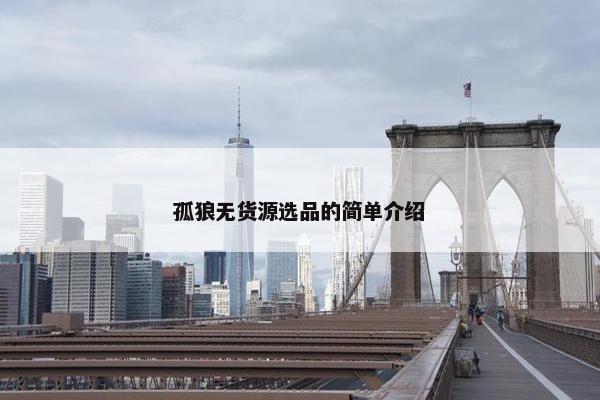 孤狼无货源选品的简单介绍
