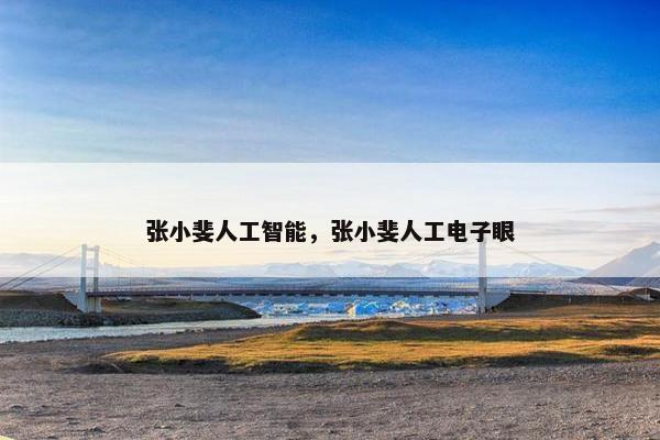 张小斐人工智能，张小斐人工电子眼
