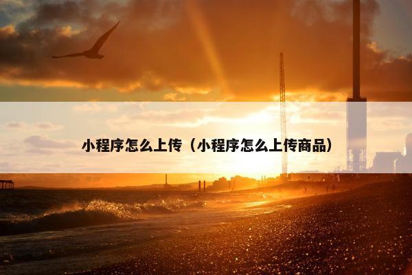 小程序怎么上传（小程序怎么上传商品）