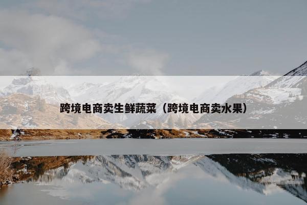 跨境电商卖生鲜蔬菜（跨境电商卖水果）