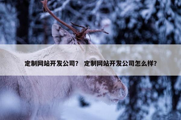 定制网站开发公司？ 定制网站开发公司怎么样？