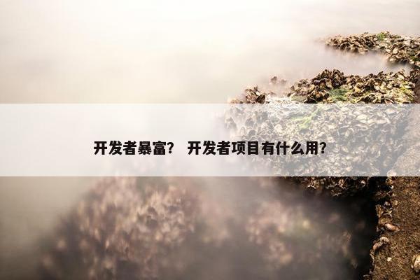 开发者暴富？ 开发者项目有什么用？