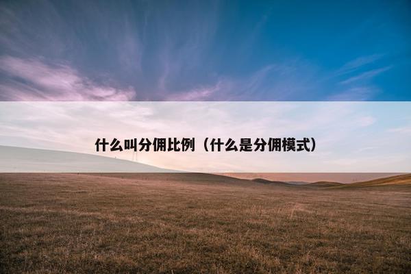 什么叫分佣比例（什么是分佣模式）