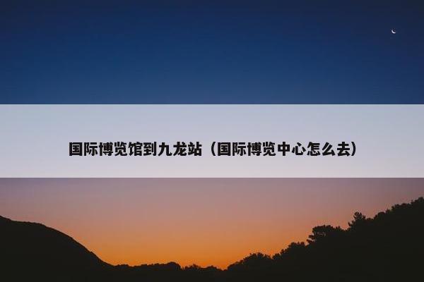 国际博览馆到九龙站（国际博览中心怎么去）