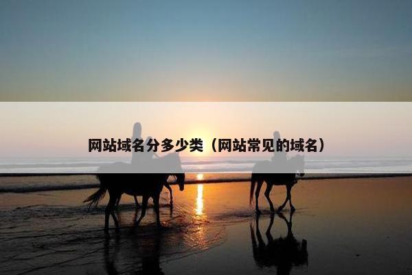 网站域名分多少类（网站常见的域名）