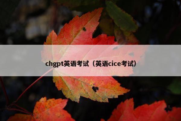 chgpt英语考试（英语cice考试）