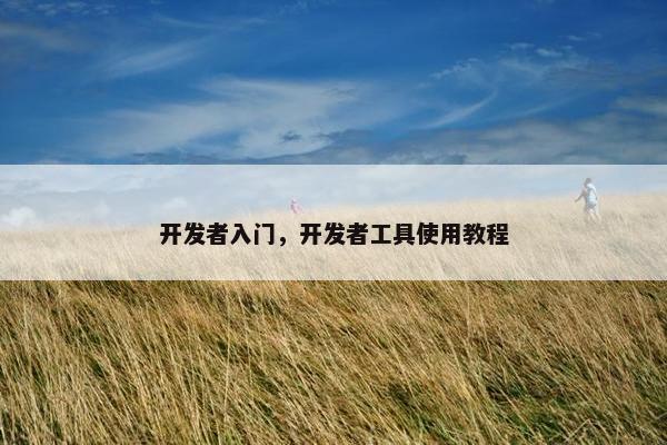 开发者入门，开发者工具使用教程