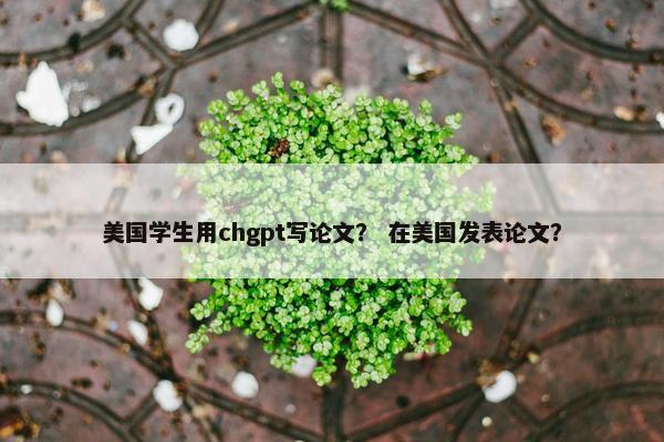 美国学生用chgpt写论文？ 在美国发表论文？
