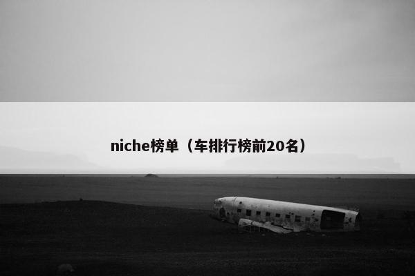 niche榜单（车排行榜前20名）