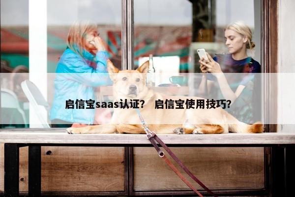 启信宝saas认证？ 启信宝使用技巧？