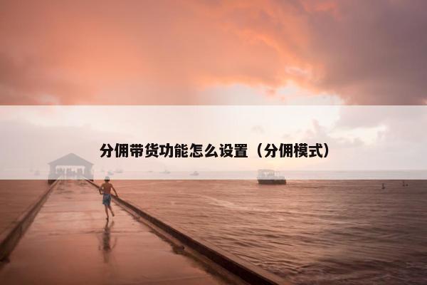 分佣带货功能怎么设置（分佣模式）