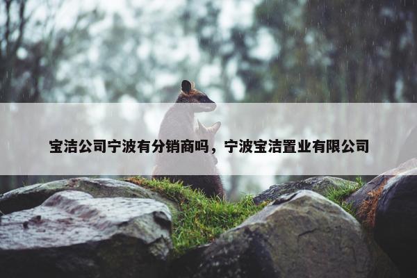 宝洁公司宁波有分销商吗，宁波宝洁置业有限公司