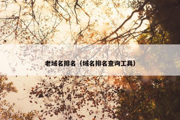 老域名排名（域名排名查询工具）