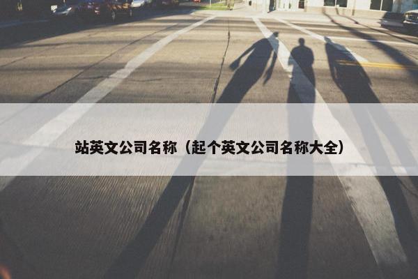 站英文公司名称（起个英文公司名称大全）