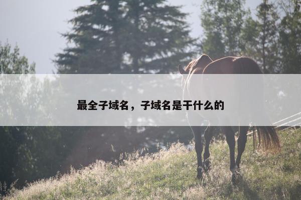 最全子域名，子域名是干什么的