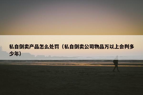私自倒卖产品怎么处罚（私自倒卖公司物品万以上会判多少年）
