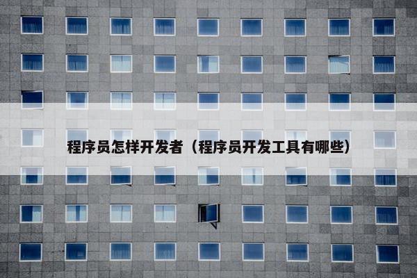 程序员怎样开发者（程序员开发工具有哪些）