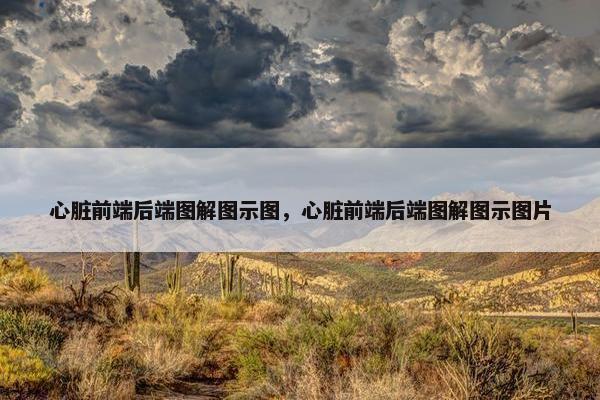 心脏前端后端图解图示图，心脏前端后端图解图示图片