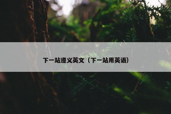 下一站遵义英文（下一站用英语）