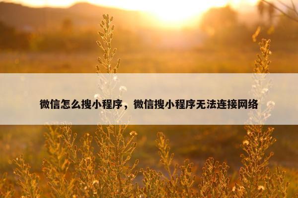 微信怎么搜小程序，微信搜小程序无法连接网络