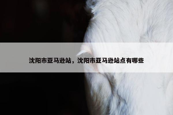 沈阳市亚马逊站，沈阳市亚马逊站点有哪些