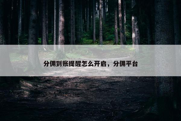 分佣到账提醒怎么开启，分佣平台