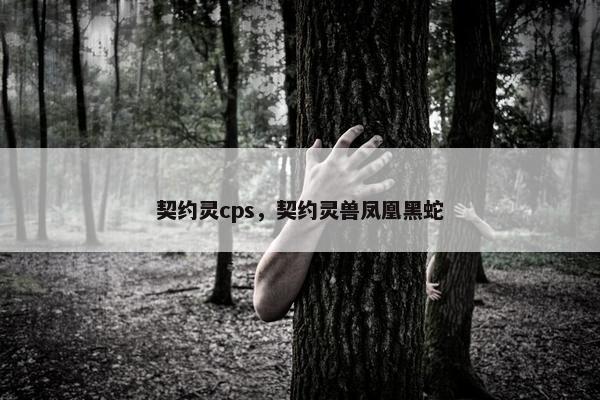 契约灵cps，契约灵兽凤凰黑蛇