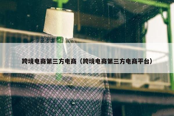 跨境电商第三方电商（跨境电商第三方电商平台）