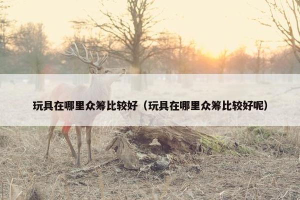玩具在哪里众筹比较好（玩具在哪里众筹比较好呢）