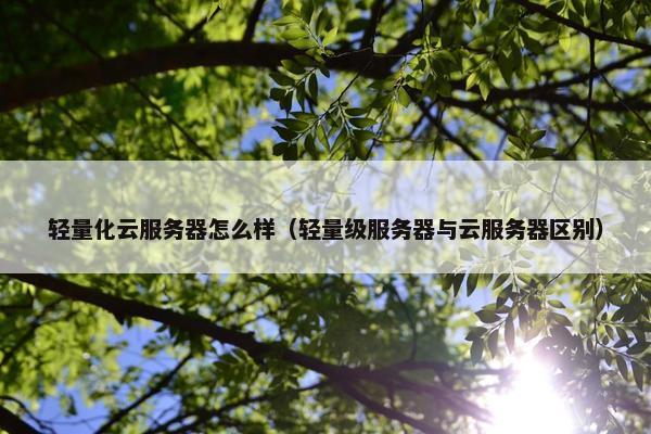 轻量化云服务器怎么样（轻量级服务器与云服务器区别）