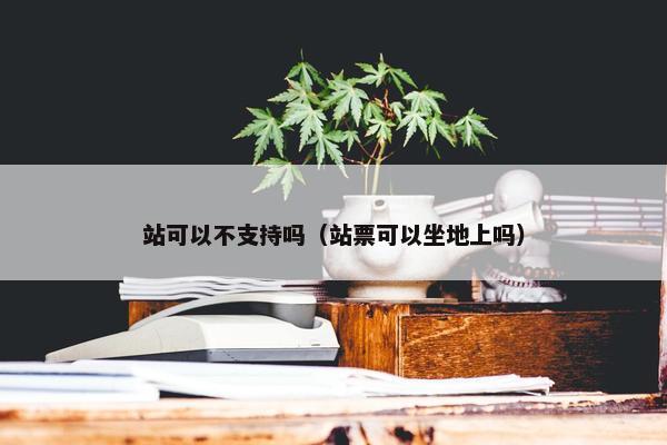 站可以不支持吗（站票可以坐地上吗）