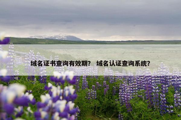 域名证书查询有效期？ 域名认证查询系统？
