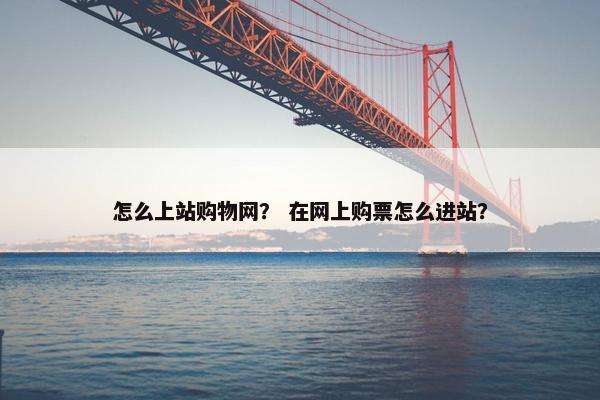 怎么上站购物网？ 在网上购票怎么进站？