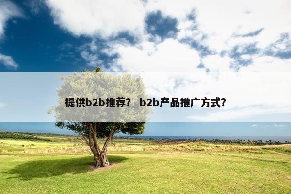 提供b2b推荐？ b2b产品推广方式？