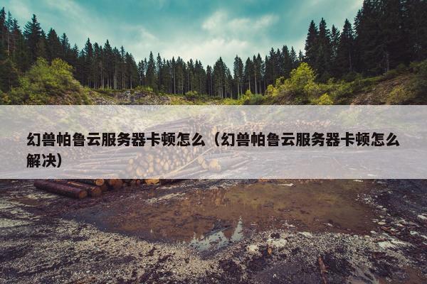 幻兽帕鲁云服务器卡顿怎么（幻兽帕鲁云服务器卡顿怎么解决）