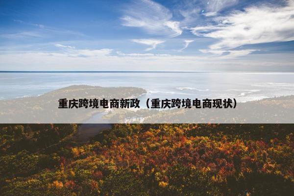重庆跨境电商新政（重庆跨境电商现状）