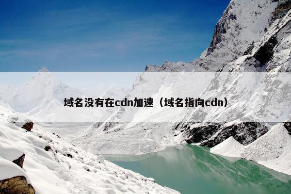 域名没有在cdn加速（域名指向cdn）